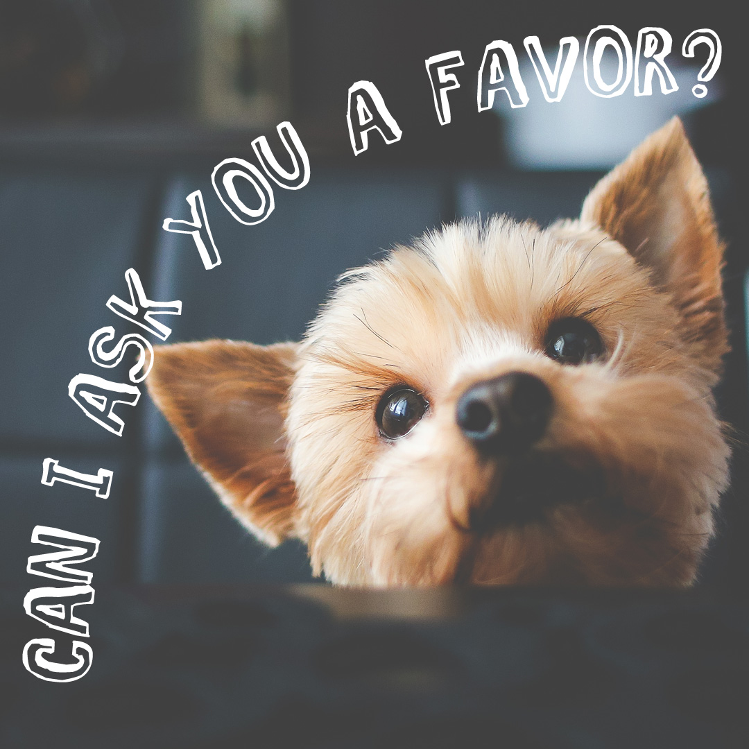 Asking Favor To You