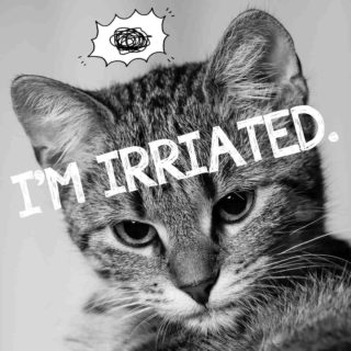 I'm irritated.