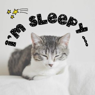 I'm sleepy.