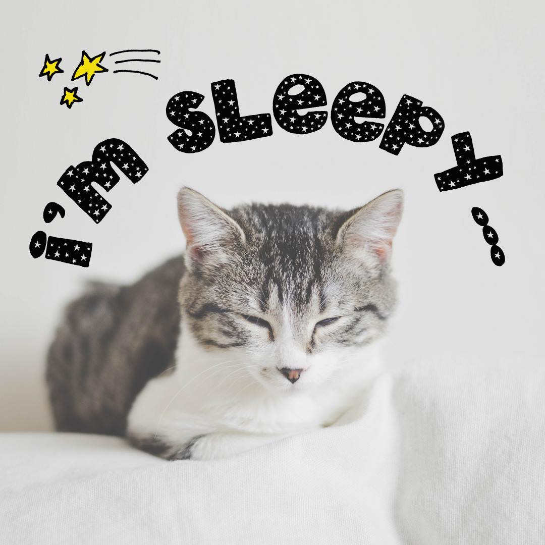 i-m-sleepy-kawaii-english