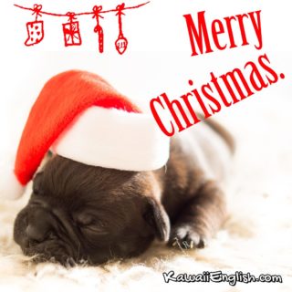 Merry Christmas.