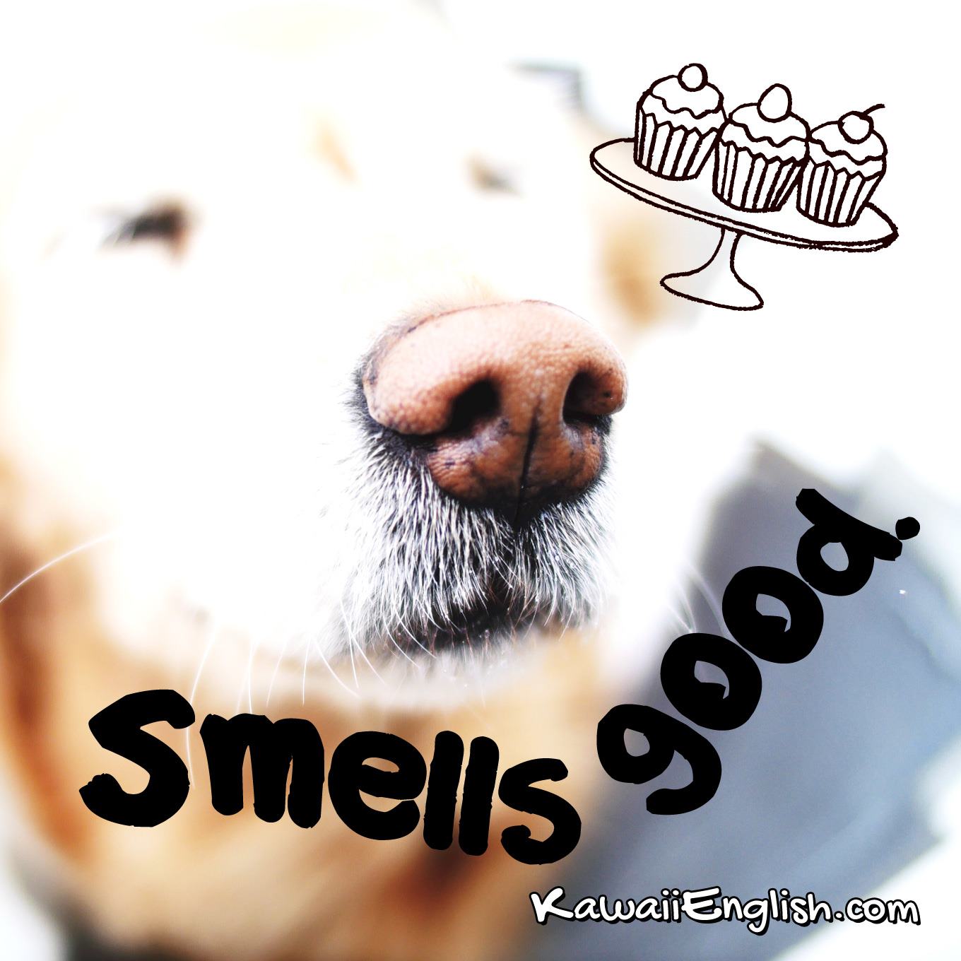 smells-good-kawaii-english